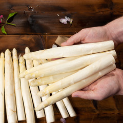 Farmer holding fresh tasty white asparagus in hands, seasonal vegetable, new harvest, ready to cook