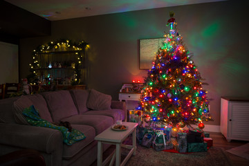 Christmas tree with gifts under it and cookies and milk left out for Santa and the reindeer.