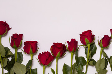 Fototapeta na wymiar Valentines day background, seamless white background with red rose border, free copy text space