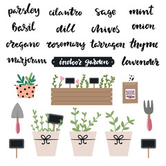 Set of hand written lettering herbs names: mint, basil, thyme,dill, lavender, rosemary,oregano. Indoor kitchen gardening set of elements, , spade, pitchfork, seeds. Indoor garden concept