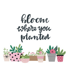Bloom where you planted hand drawn lettering words and cute garden flowers and flowerpots