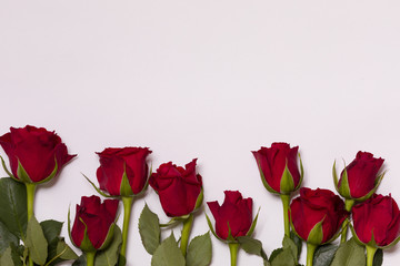 Valentines day background, seamless white background with red rose border, free copy text space