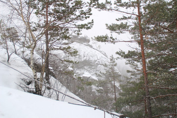 Winter cliffs. Christmas trees and fir. Falling snow Mountains and Dovbush Rocks. Ukrain