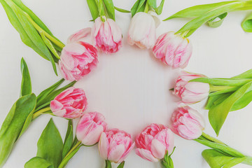 Obraz na płótnie Canvas Spring greeting card. Bouquet of fresh light pastel pink tulips flowers on white wooden background. Happy holiday easter mother day anniversary valentine birthday concept. Flat lay top view copy space