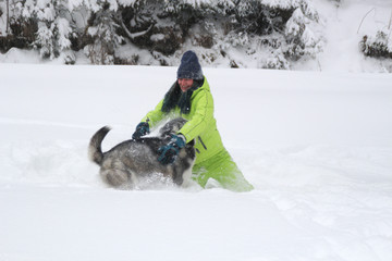Haski plays with a girl in the woods. The dog runs in the snow. Drown in the woods in the snow. Husky travels. Snow and winter. Dog games with a woman