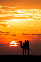 Walking with camel through Thar Desert in India, Show silhouette and dramatic sky