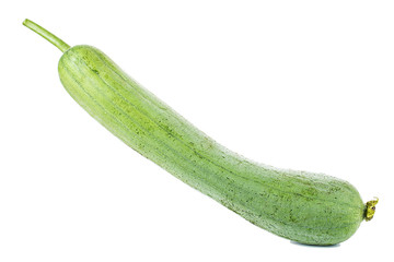 Loofah on white background