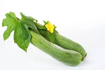 Loofah on white background