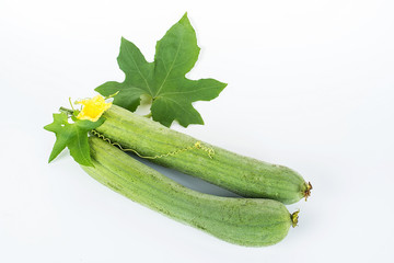 Loofah on white background
