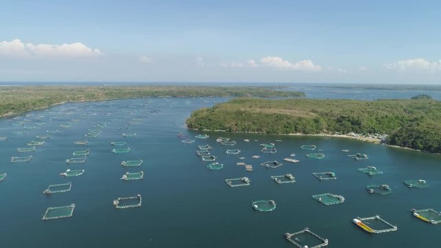 Fish farm with cages for fish and shrimp in Philippines, Luzon. Aerial view fish ponds for bangus, milkfish. Fish cage for tilapia, milkfish farming aquaculture or pisciculture practices.