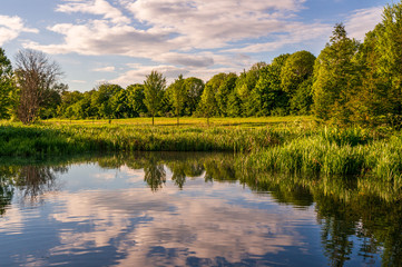 Fototapeta premium Reflections of the trees and clouds in a blue lake water on a beautiful Spring day. Mirrored landscape.