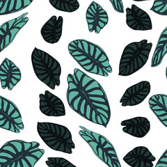 Seamless Tropical Pattern. Trendy Background with Rain Forest Plants. Vector Leaf of Alocasia. Araceae. Handwritten Jungle Foliage in Watercolor Style. Seamless Exotic Pattern for Textile, Fabric.