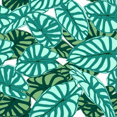 Seamless Tropical Pattern. Trendy Background with Rain Forest Plants. Vector Leaf of Alocasia. Araceae. Handwritten Jungle Foliage in Watercolor Style. Seamless Exotic Pattern for Textile, Fabric.