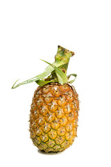 Pineapple fruit isolated on the white background.