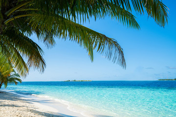 Naklejka na ściany i meble Wave of tropical sea beach on white sand with coconut leaf edge frame.