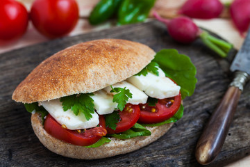 healthy vegetarian sandwich with cheese