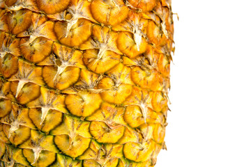 Pineapple fruit isolated on the white background.
