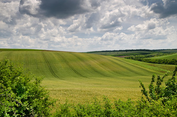 Fototapeta premium Dramatic Blue Sky, Meadow and a tree near the village Belitsa