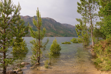 Homen river in Peneda-Gerês National Park, Portugal. Portuguese mountains in Geres.
