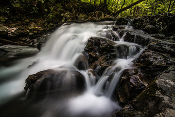 Beautiful falls in the forest