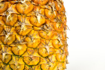 Pineapple fruit isolated on white background.