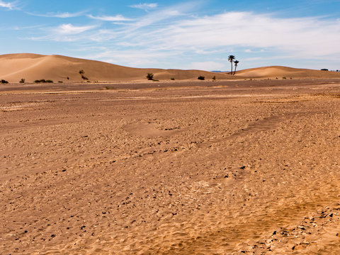 Die Wüste Sahara im Süden von Marokko in der Nähe von Tafraout.