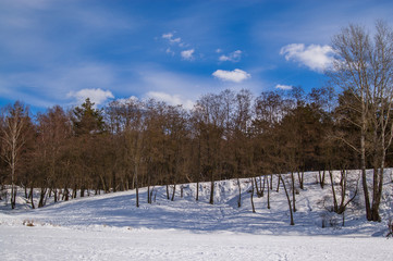 Winter forest landscape, view from the frozen lake to the shore. Bright blue sky, yet calm wintery day.