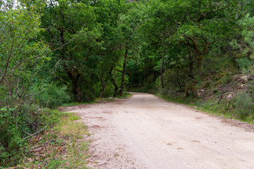 Campo do Gerês mountain road in Portugal. Old roman road.