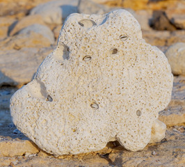 the Rock wall seamless texture