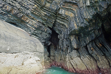 coast - Dolphin tour, Carrigaholt, co clare, ireland