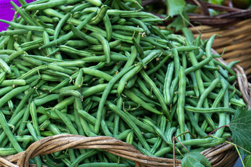 Farmers' market stall: heap of fresh green beans