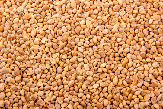 chironji nuts in bowl