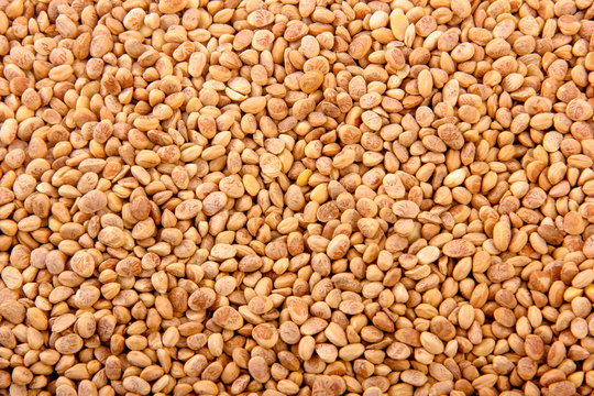 chironji nuts in bowl