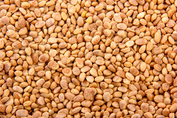 chironji nuts in bowl