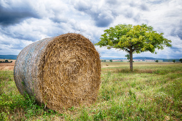 Baled hay under a clouded sky, grassland or pasture used as lifestock food supply in rural France.