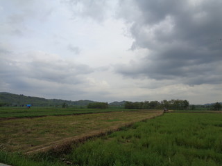 Beautiful Village In The Middle Of The Teak Forest