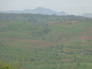 Obraz premium Beautiful Village In The Middle Of The Teak Forest