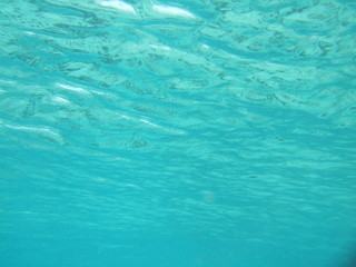 Mexico Cozumel Summer Under water Surface