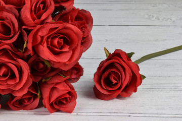 red roses on a white back ground