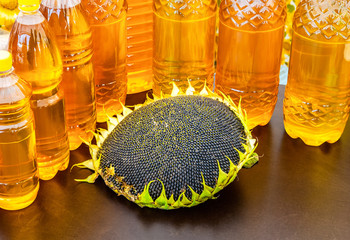 Head of sunflower with seeds and bottled sunflower oil