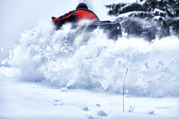 Obraz premium Winter walk on the quad bike in the forest.