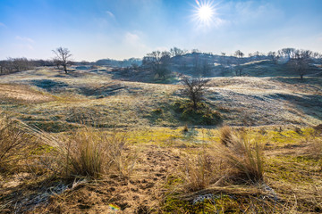 Winter dune landscape with frost during sunrise