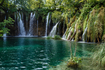 natural waterfalls in Plitvice Lakes National Park; untouched nature - moss, hanging plants, greenish transparent water in the lake