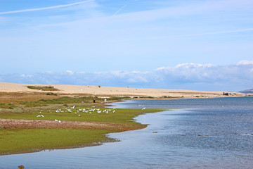 Chesil Bank and Fleet Basin, Dorset