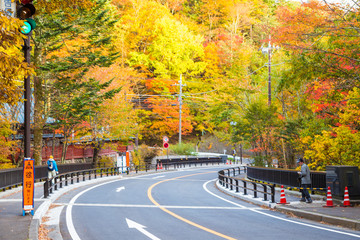 Peace of road on mountain park at autumn season