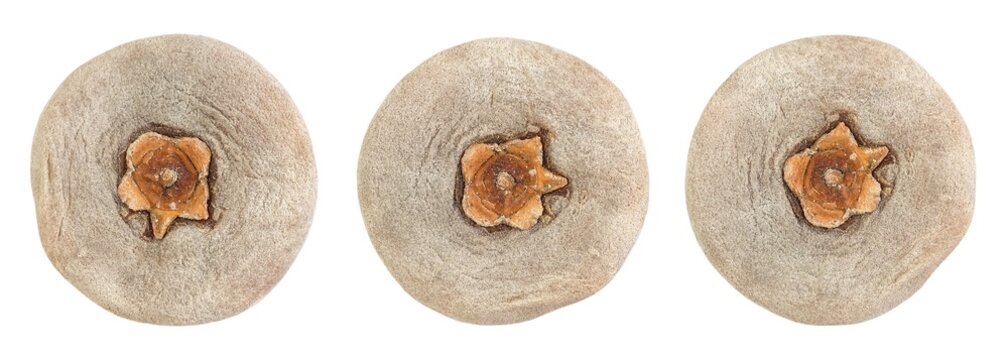 Dried Kaki or Persimmon Fruits on White Background