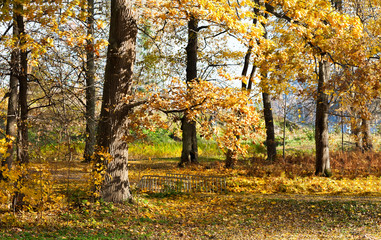 Monrepos Park in Vyborg in the Indian summer.