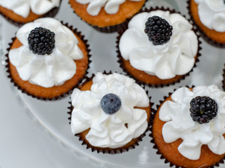 Delicate delicious vanilla cupcakes with cream cheese frosting, on a white wooden background, selective focus