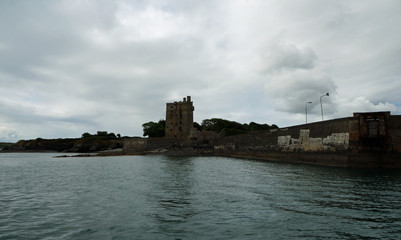 MacMahon Castle - Dolphin tour, Carrigaholt, co clare, ireland