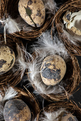 Eggs in nest and white feathers.